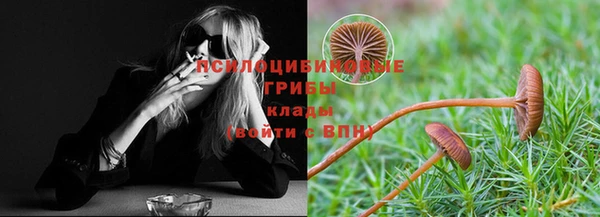 марки nbome Белокуриха